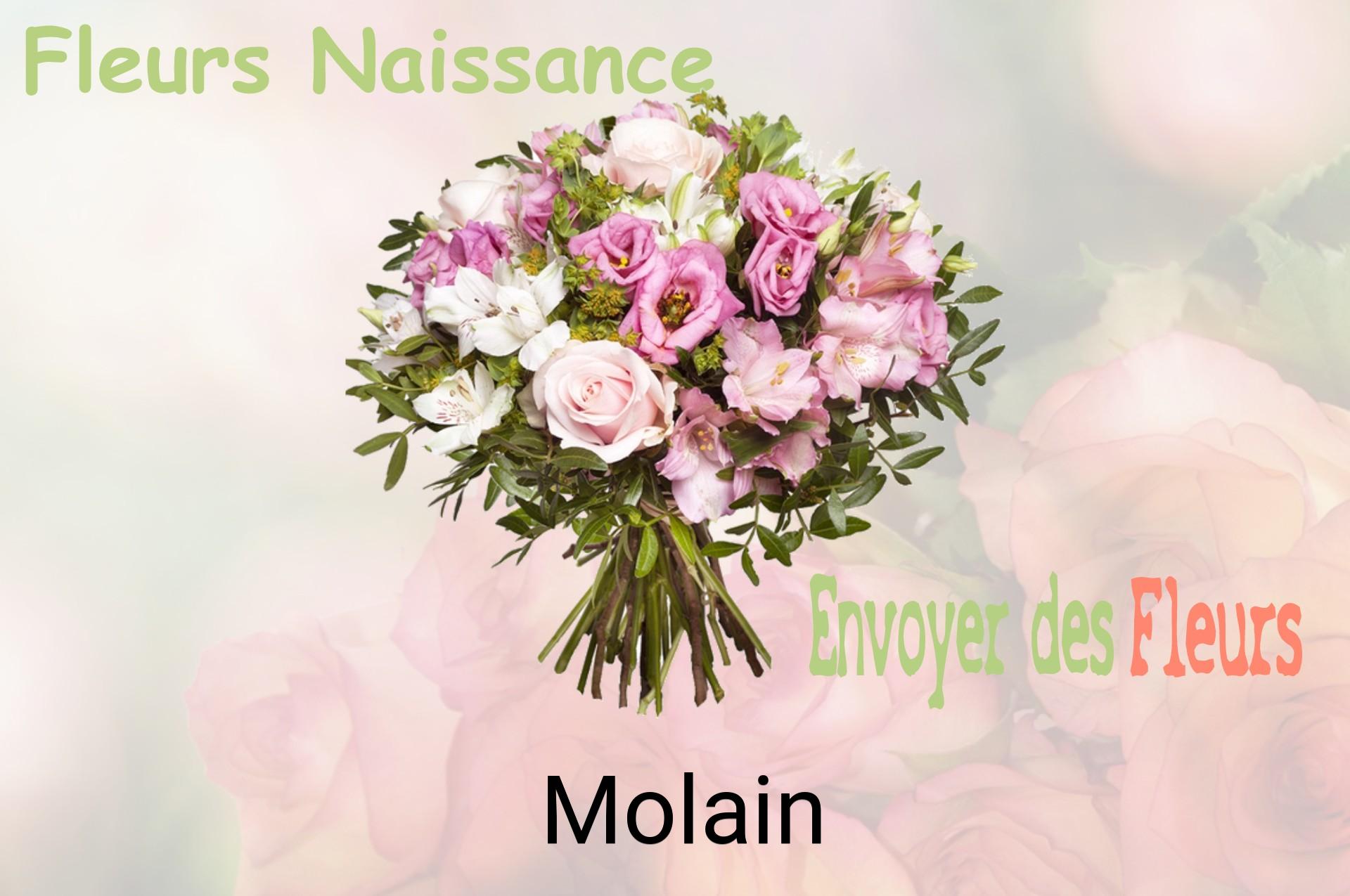 Bouquet de fleurs de naissance livré à Molain